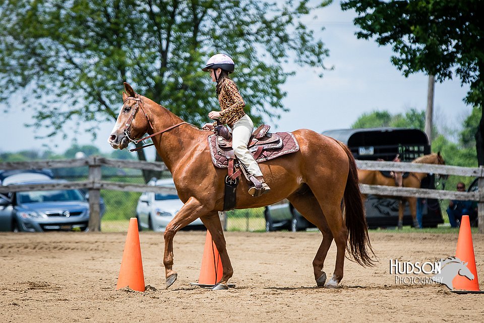 4H-FUN-060615-0947.jpg