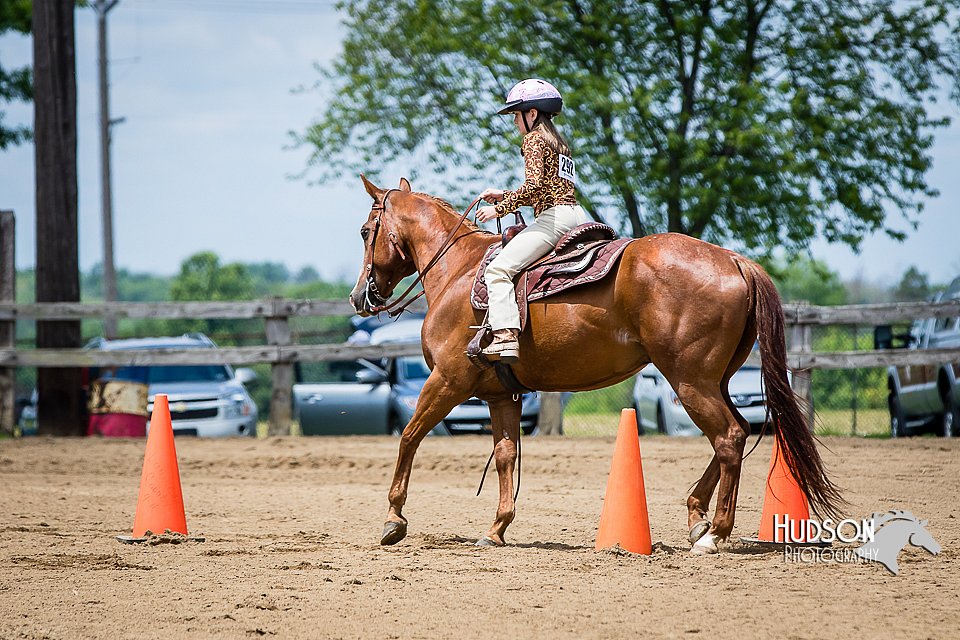 4H-FUN-060615-0948.jpg