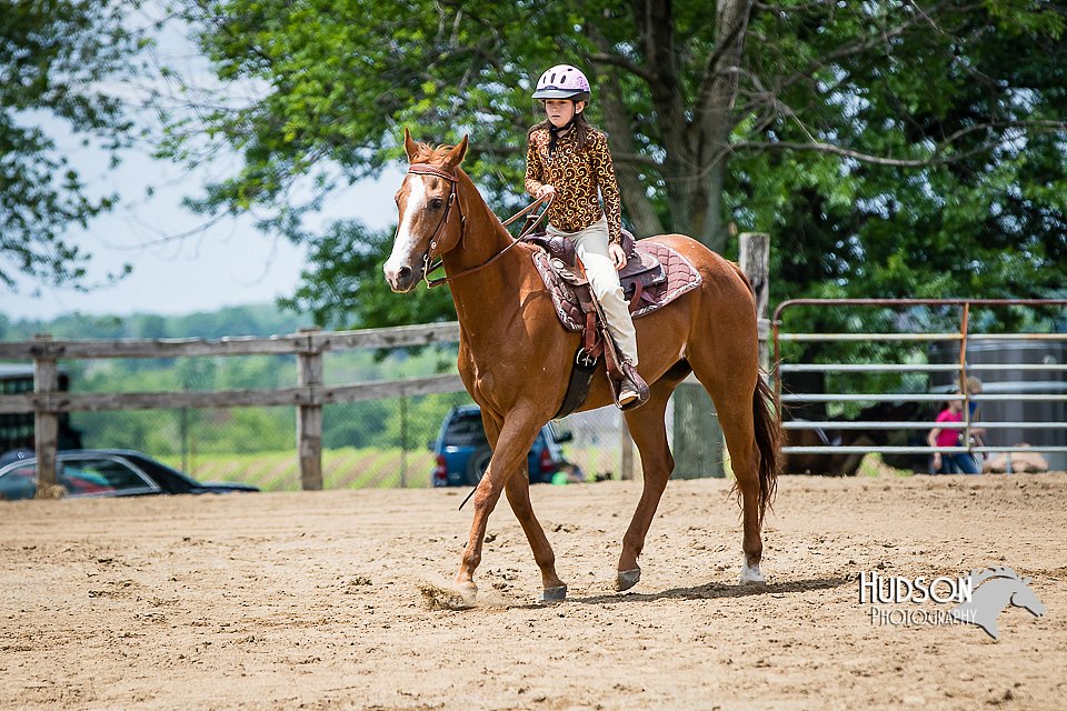 4H-FUN-060615-0949.jpg