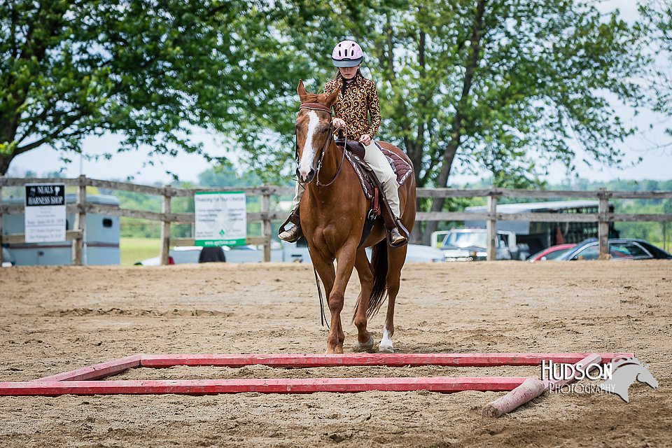 4H-FUN-060615-0951.jpg