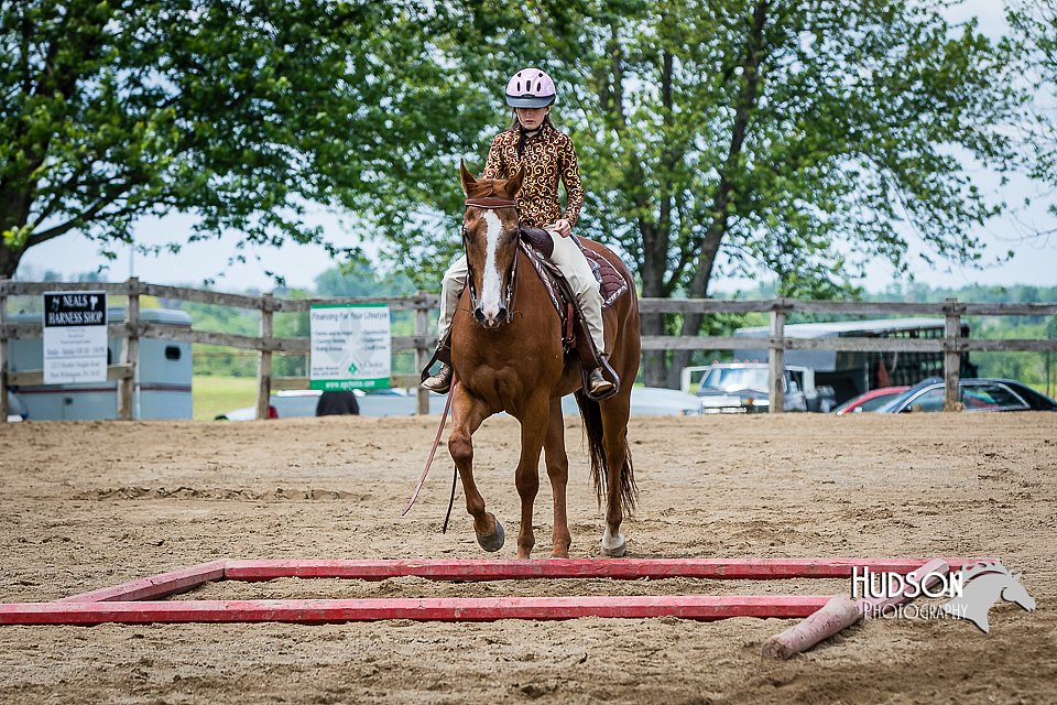 4H-FUN-060615-0952.jpg
