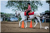 4H-FUN-060615-0907.jpg