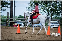 4H-FUN-060615-0908.jpg