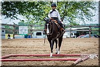 4H-FUN-060615-0918.jpg