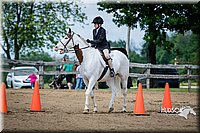 4H-FUN-060615-0924.jpg