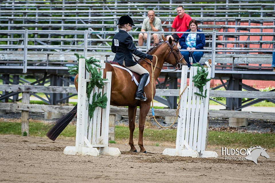 4H-FUN-060615-0982.jpg