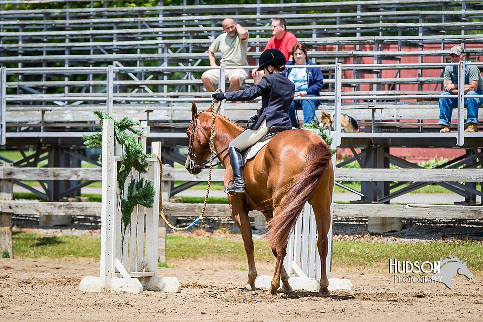 4H-FUN-060615-0998.jpg