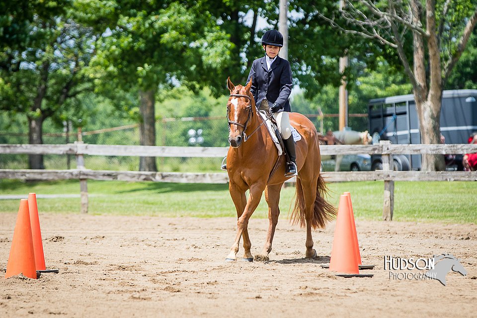 4H-FUN-060615-1001.jpg