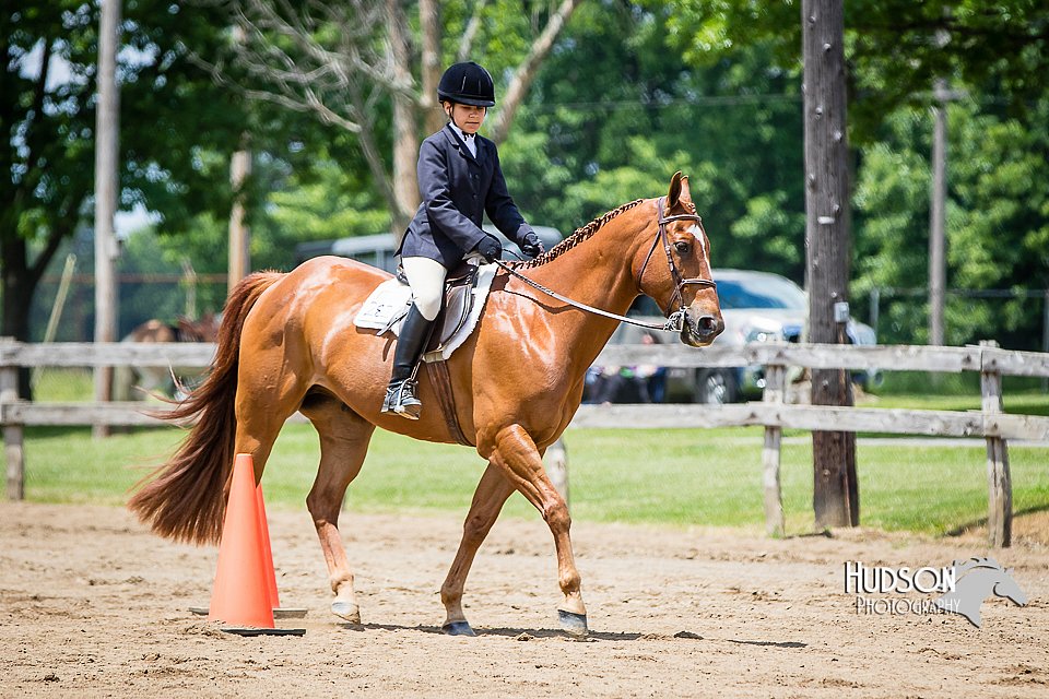 4H-FUN-060615-1002.jpg