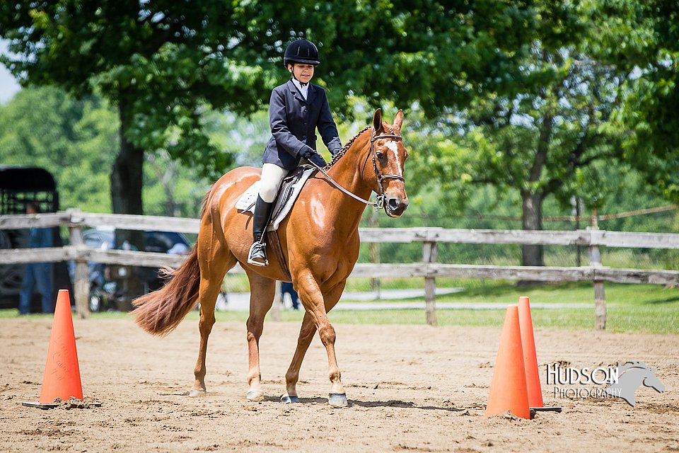 4H-FUN-060615-1004.jpg