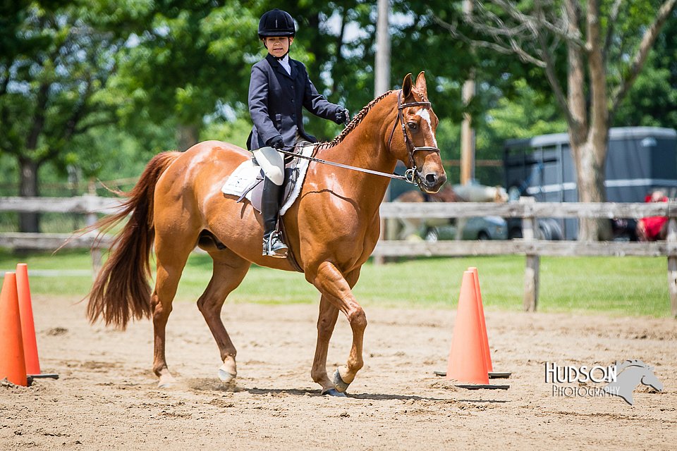 4H-FUN-060615-1006.jpg