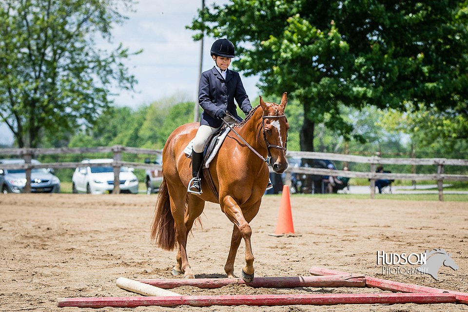 4H-FUN-060615-1007.jpg