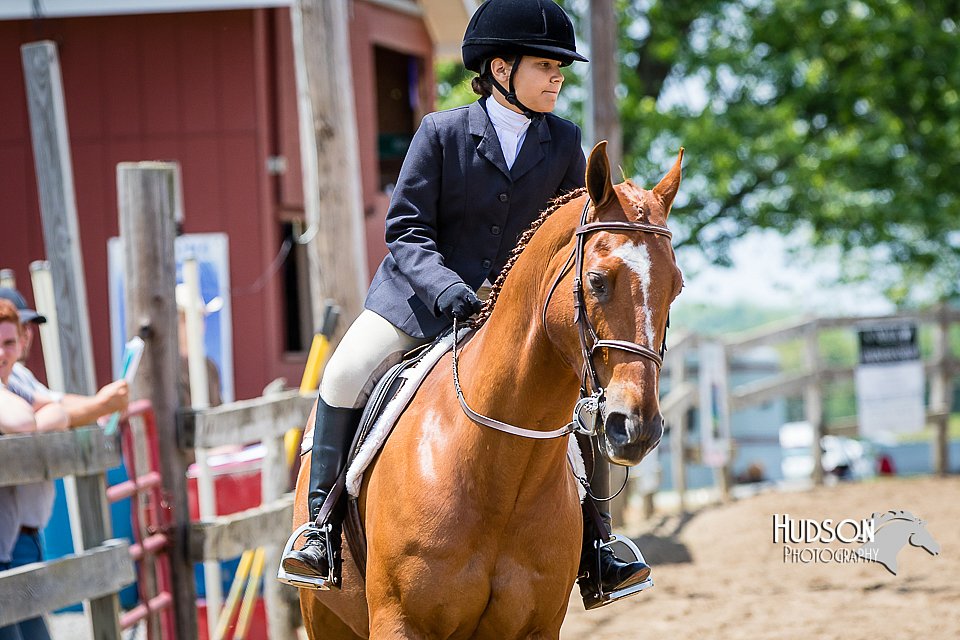 4H-FUN-060615-1009.jpg
