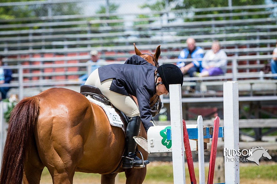 4H-FUN-060615-1010.jpg