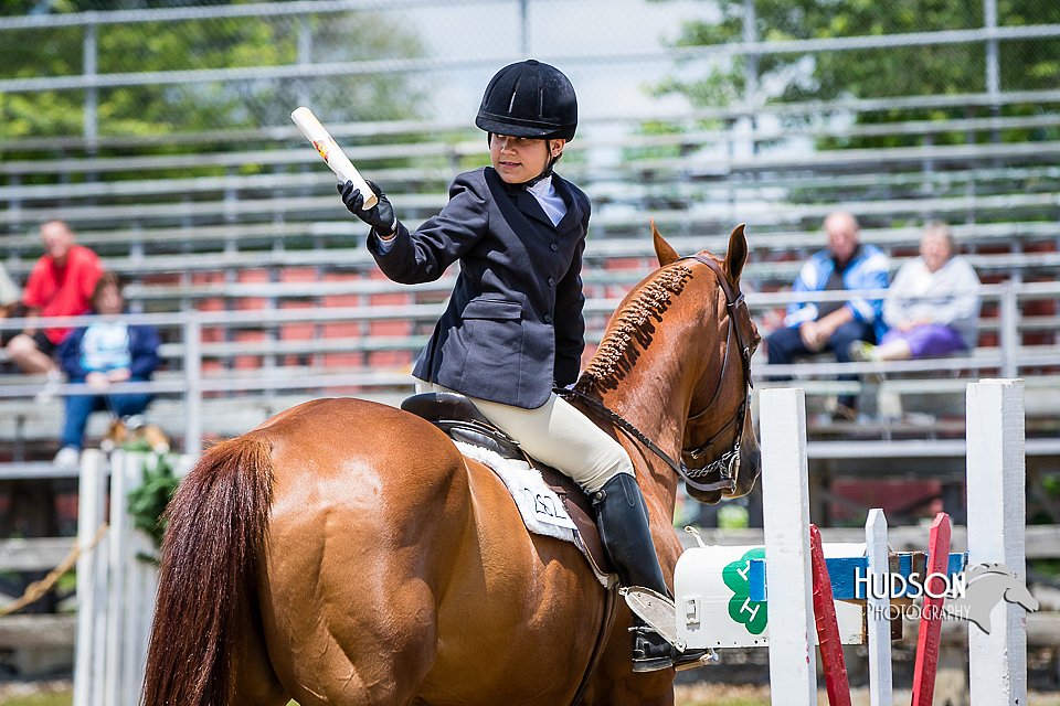 4H-FUN-060615-1011.jpg