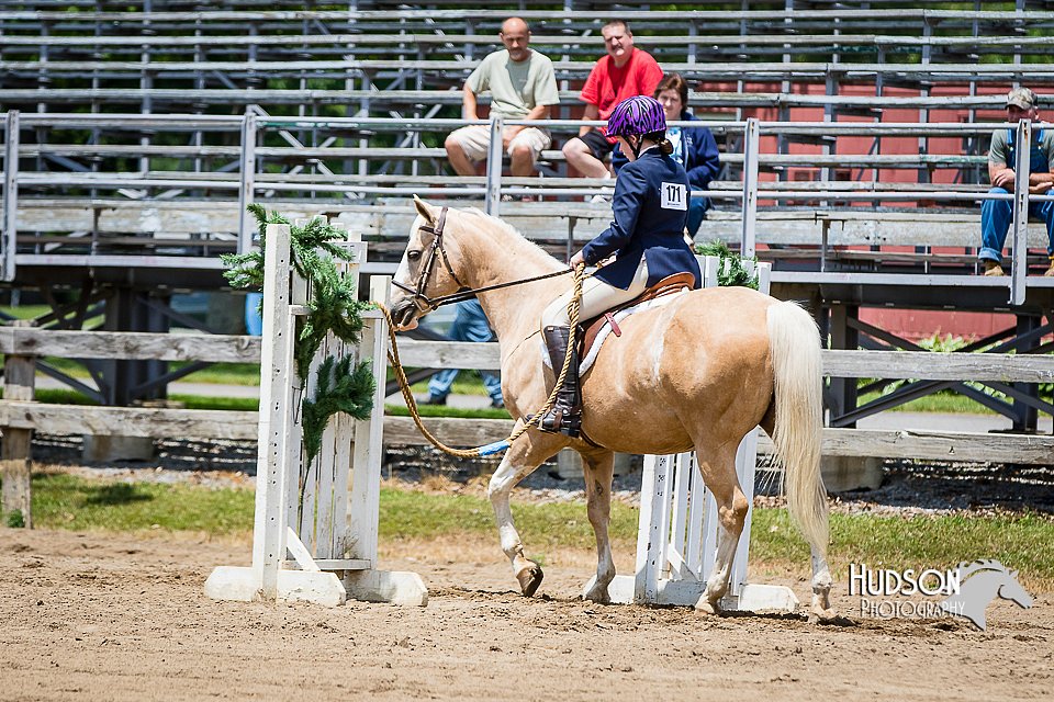 4H-FUN-060615-1012.jpg
