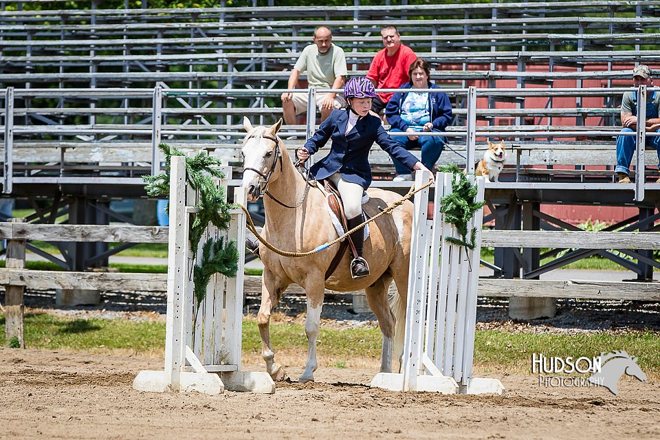 4H-FUN-060615-1013.jpg