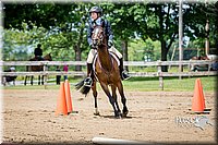 4H-FUN-060615-0976.jpg