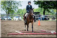 4H-FUN-060615-0977.jpg