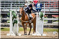 4H-FUN-060615-1000.jpg