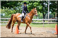 4H-FUN-060615-1005.jpg