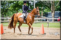 4H-FUN-060615-1006.jpg