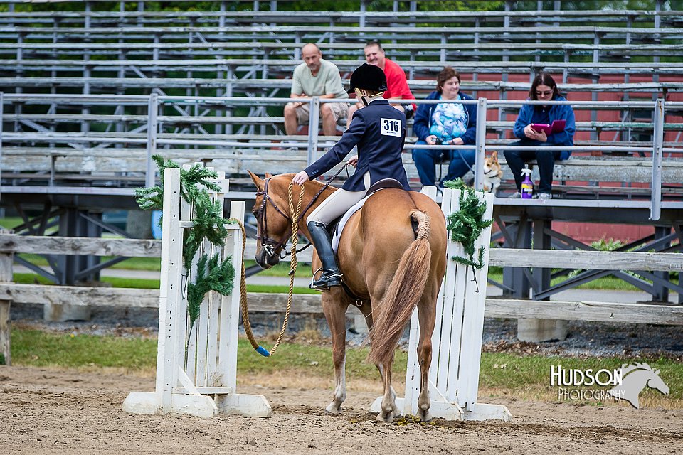 4H-FUN-060615-1038.jpg