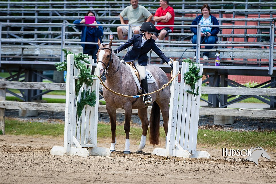 4H-FUN-060615-1061.jpg