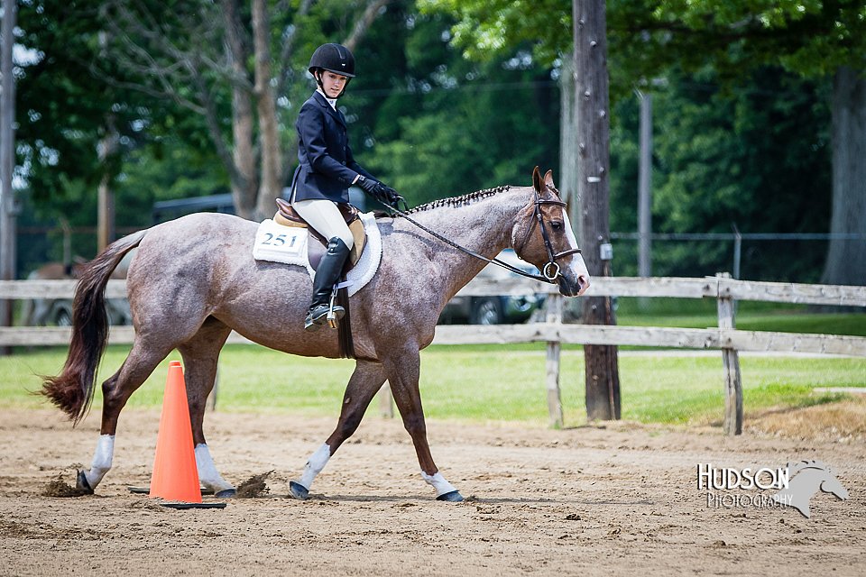 4H-FUN-060615-1064.jpg