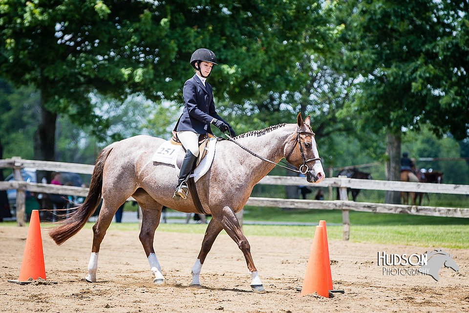 4H-FUN-060615-1066.jpg