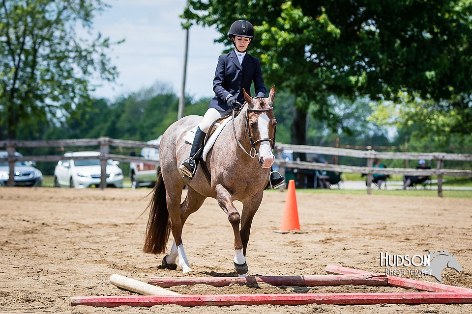 4H-FUN-060615-1070.jpg
