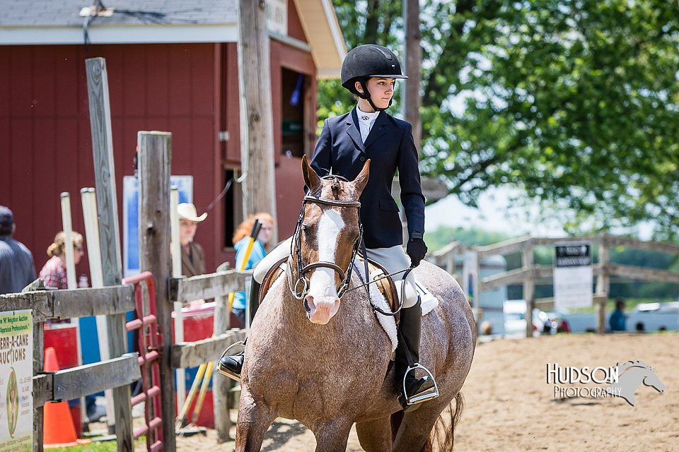 4H-FUN-060615-1071.jpg