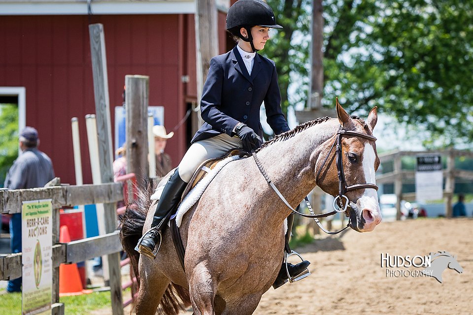 4H-FUN-060615-1072.jpg