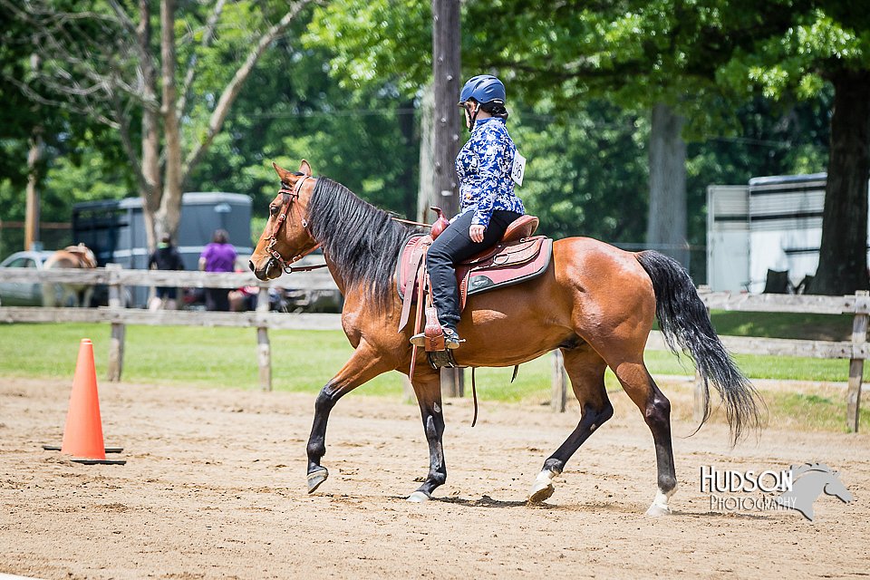 4H-FUN-060615-1077.jpg