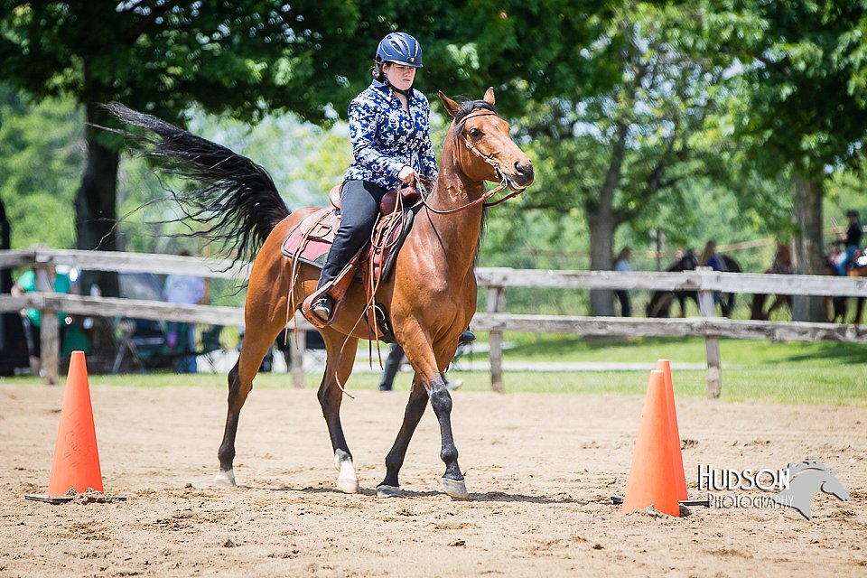 4H-FUN-060615-1079.jpg