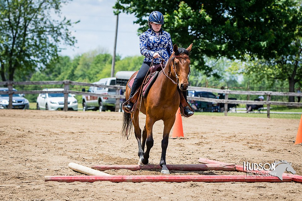 4H-FUN-060615-1084.jpg