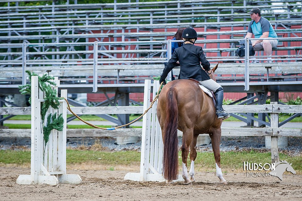 4H-FUN-060615-1103.jpg