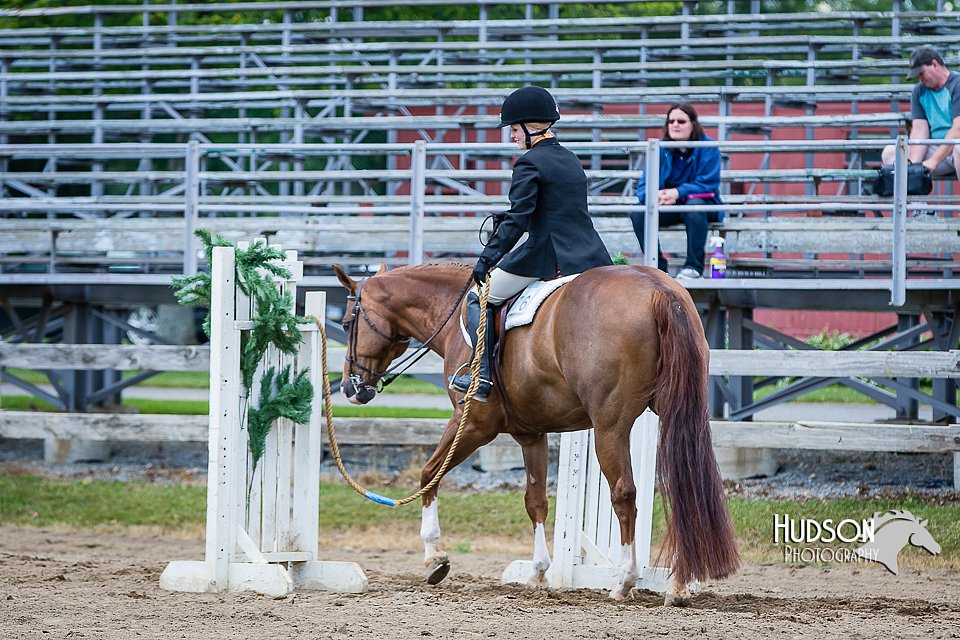 4H-FUN-060615-1104.jpg