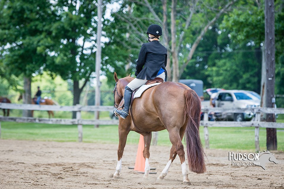 4H-FUN-060615-1105.jpg