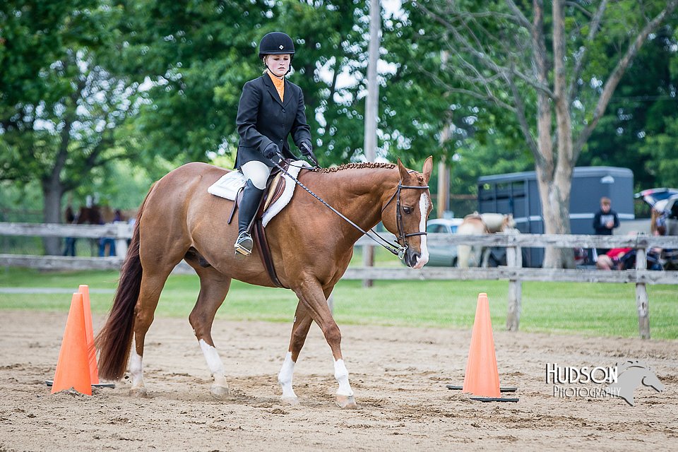 4H-FUN-060615-1108.jpg