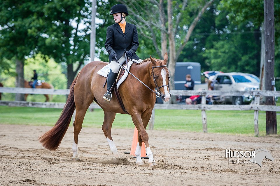 4H-FUN-060615-1109.jpg