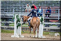 4H-FUN-060615-1038.jpg