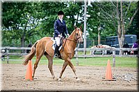 4H-FUN-060615-1042.jpg