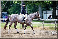 4H-FUN-060615-1065.jpg