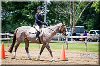 4H-FUN-060615-1067.jpg