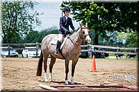 4H-FUN-060615-1069.jpg