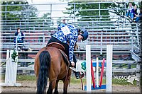 4H-FUN-060615-1088.jpg