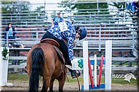 4H-FUN-060615-1089.jpg