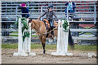 4H-FUN-060615-1091.jpg