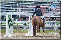 4H-FUN-060615-1103.jpg